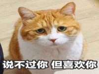 常州维尔斯通商贸有限公司