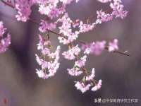 常州维尔斯通商贸有限公司