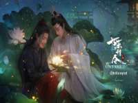 常州维尔斯通商贸有限公司