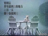 常州维尔斯通商贸有限公司