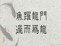常州维尔斯通商贸有限公司