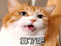 常州维尔斯通商贸有限公司