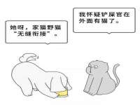 常州维尔斯通商贸有限公司