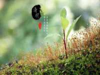 常州维尔斯通商贸有限公司