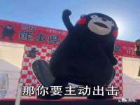 常州维尔斯通商贸有限公司