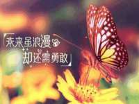 常州维尔斯通商贸有限公司