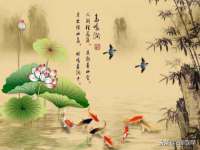 常州维尔斯通商贸有限公司