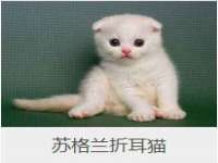 常州维尔斯通商贸有限公司