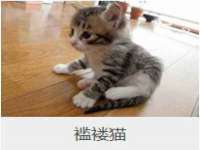 常州维尔斯通商贸有限公司