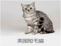 常州维尔斯通商贸有限公司