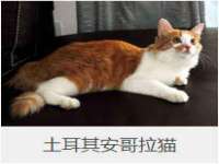 常州维尔斯通商贸有限公司