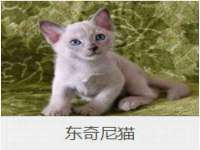 常州维尔斯通商贸有限公司