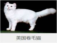 常州维尔斯通商贸有限公司