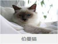 常州维尔斯通商贸有限公司