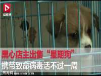 常州维尔斯通商贸有限公司