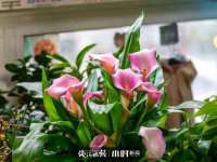 常州维尔斯通商贸有限公司