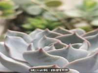 常州维尔斯通商贸有限公司