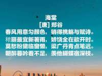 常州维尔斯通商贸有限公司