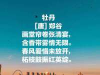 常州维尔斯通商贸有限公司