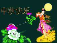 常州维尔斯通商贸有限公司