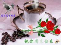 常州维尔斯通商贸有限公司