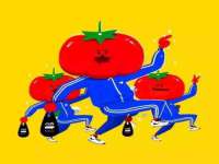常州维尔斯通商贸有限公司