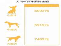 常州维尔斯通商贸有限公司