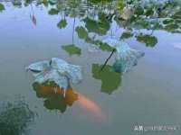 常州维尔斯通商贸有限公司