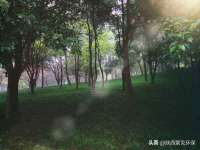 常州维尔斯通商贸有限公司