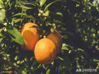 常州维尔斯通商贸有限公司