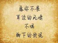 常州维尔斯通商贸有限公司