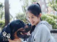 常州维尔斯通商贸有限公司