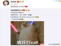 常州维尔斯通商贸有限公司
