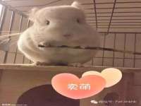 常州维尔斯通商贸有限公司