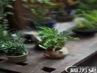 常州维尔斯通商贸有限公司