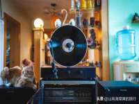 常州维尔斯通商贸有限公司