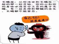 常州维尔斯通商贸有限公司