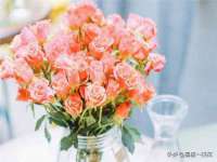 常州维尔斯通商贸有限公司