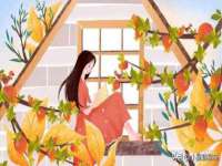 常州维尔斯通商贸有限公司