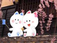 常州维尔斯通商贸有限公司
