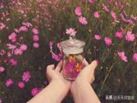 常州维尔斯通商贸有限公司