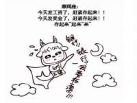 常州维尔斯通商贸有限公司