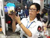 常州维尔斯通商贸有限公司