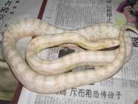 常州维尔斯通商贸有限公司