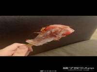 常州维尔斯通商贸有限公司